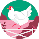 Jan B. profile picture